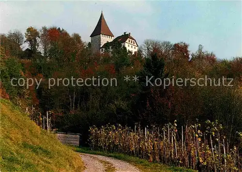 Weinfelden Schloss Kat. Weinfelden