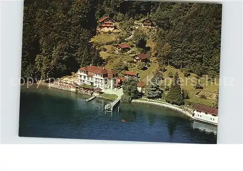 Immensee Fliegeraufnahme Hotel Baumgarten Kat. Immensee