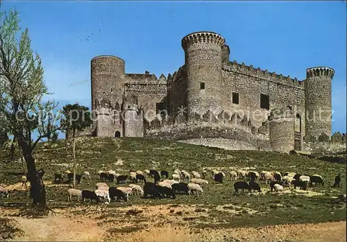 Belmonte Castilla La Mancha Castillo Burg Schafherde