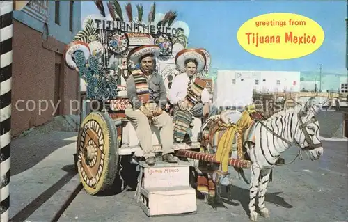 Tijuana Colorful donkey carts in native costume Kat. Tijuana