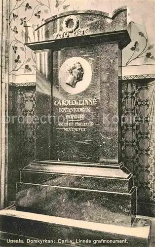 Upsala Domkyrkan Carl Linnes Monument Kat. Upsala