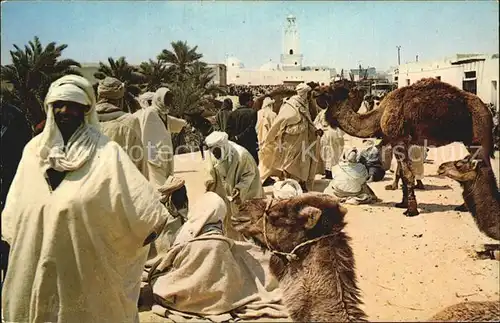 El Oued Souk au Chameaux Kat. Algerien