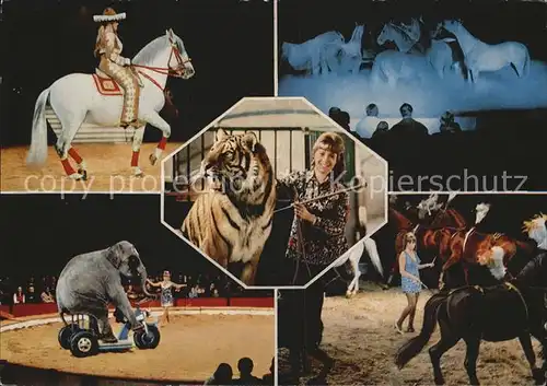 Zirkus Christel Sembach Krone Tiger Ussur Pferde Musical  Kat. Zirkus