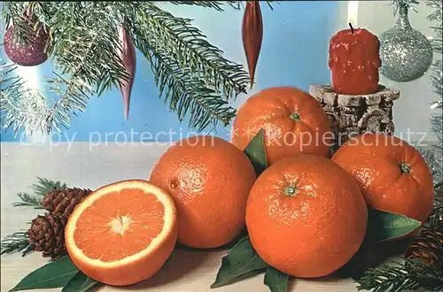 Orangen Oranges Navel  Kat. Landwirtschaft