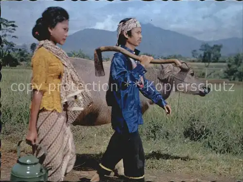 Landwirtschaft Farmer and his wife West Java Kat. Landwirtschaft