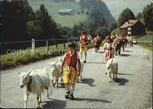 Ziege Alpabfahrt Sennenbub  Kat. Tiere