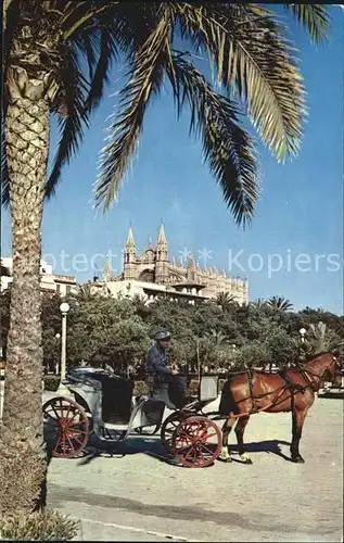 Pferdekutschen Mallorca Palma Catedral Desembarcadero  Kat. Tiere