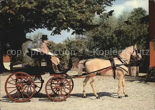 Pferdekutschen Phaeton Carrosserie Kauffmann Basel Kat. Tiere