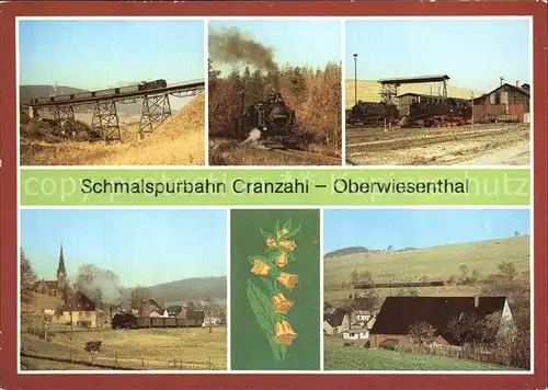 Lokomotive Schmalspurbahn Cranzahl Oberwiesenthal Viadukt Lokeinsatzstelle Kat. Eisenbahn