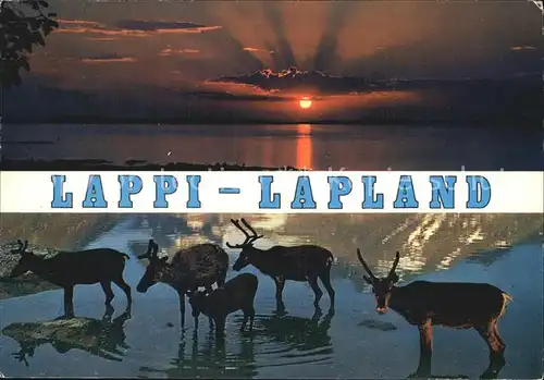 Tiere Lappi Lapland  Kat. Tiere