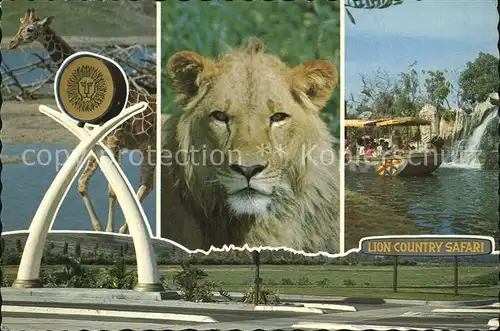 Loewe Lion Country Safari California Giraffe Kat. Tiere