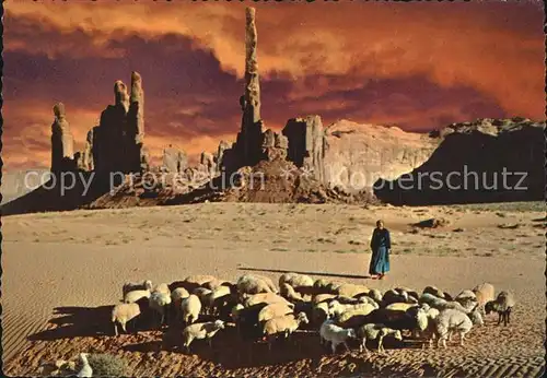 Schafe Monument Valley Navajo Woman  Kat. Tiere