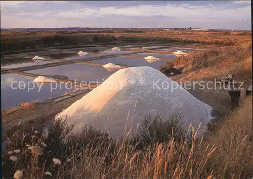 Salzgewinnung Saline Mulon de Sel Presqu ile de Guerande  Kat. Rohstoffe Commodities