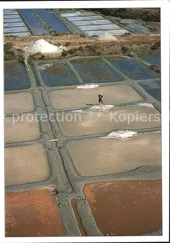 Salzgewinnung Presqu ile de Guerande Recolte du Sel  Kat. Rohstoffe Commodities