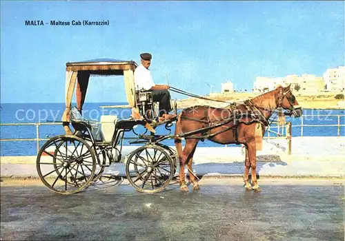 Pferdekutschen Malta Maltese Cab Karrozzin  Kat. Tiere