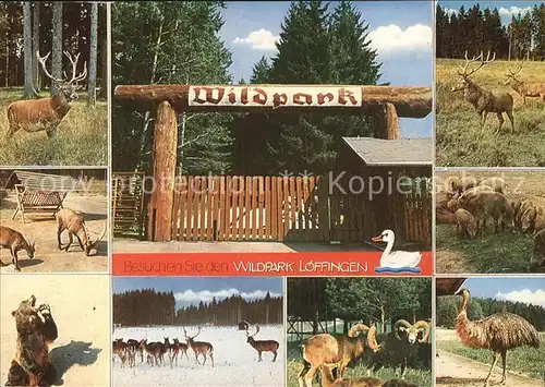 Tiere Wildpark Loeffingen Baer Hirsch Wildschwein Strauss Kat. Tiere