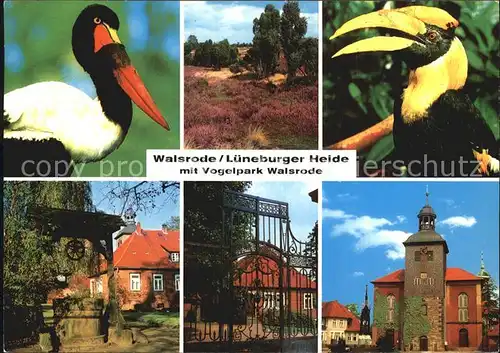 Voegel Vogelpark Walsrode  Kat. Tiere