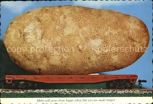 Landwirtschaft Idaho Potato  Kat. Landwirtschaft