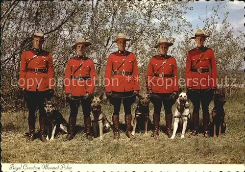Polizei Royal Canadian Mounted Police Dogs Hunde  Kat. Polizei