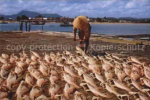 Fische Fischer Dryinf of Salted Fish Peninsula Malaysia  Kat. Tiere