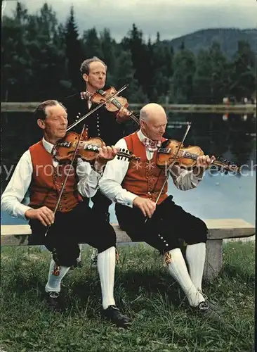 Geige Norwegen Trachten  Kat. Musik