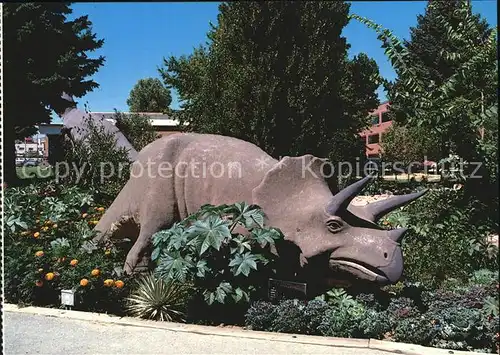 Dinosaurier Triceratops Dinosaur Gardens Vernal Utah Kat. Tiere