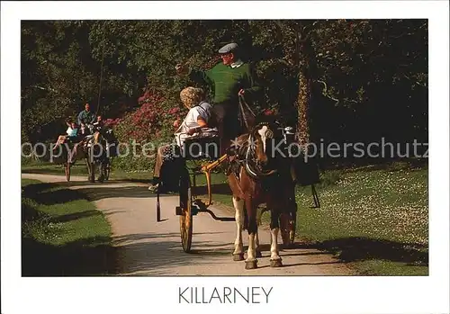 Pferdekutschen Irish Jaunting Car Killarney  Kat. Tiere