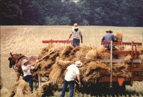 Landwirtschaft Amish Loading Oats  Kat. Landwirtschaft
