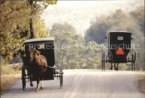 Pferdekutschen Amish Buggies in Autumn  Kat. Tiere