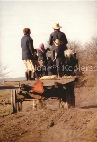 Landwirtschaft Amish Field Wagon  Kat. Landwirtschaft