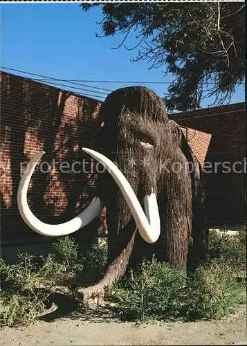 Elefant Woolley Mammoth Dinosaur Gardens Vernal Utah Kat. Tiere