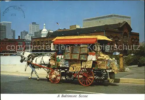 Pferdekutschen Baltimore Street Arabs Horse Drawn Wagons  Kat. Tiere