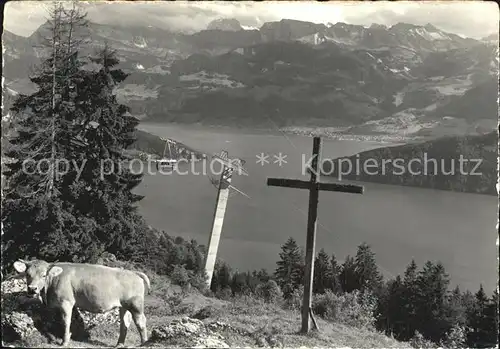 Seilbahn Weggis Rigi Kaltbad Kuh  Kat. Bahnen