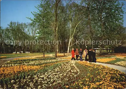 Bundesgartenschau Stuttgart Untere Schlossgartenanlage Kat. Expositions