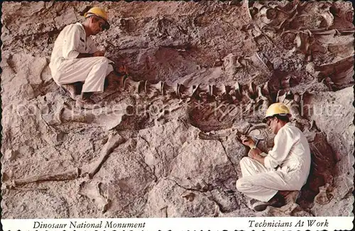 Dinosaurier Dinosaur National Monument Technicians at Work Utah Fossil Bones  Kat. Tiere