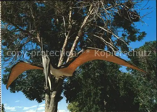 Dinosaurier Pteranodon Dinosaur Gardens Vernal Utah Kat. Tiere