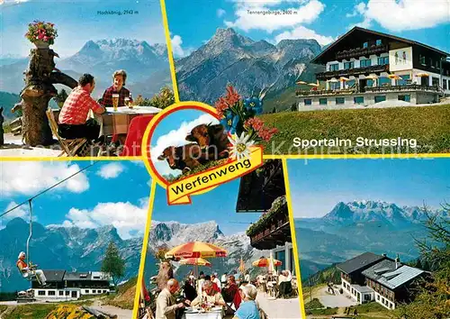 Werfenweng Gasthof Restaurant Sportalm Strussing Kuehe Alpenflora Alpenpanorama Kat. Werfenweng