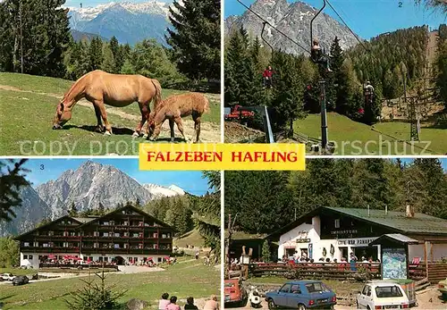 Hafling Meran Haflinger Pferde Sessellift Piffinger Koepfl Gasthof Falzeben Ifinger Cafe Panorama Sarntaler Alpen Kat. Avelengo Suedtirol