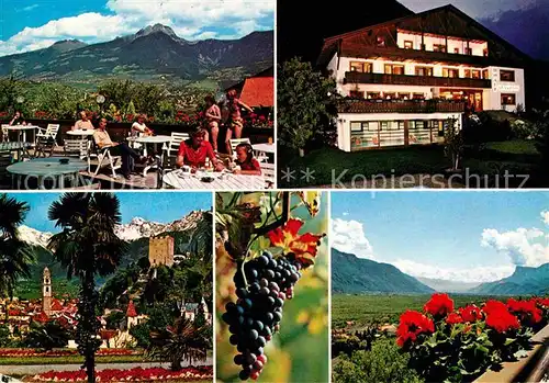 Marling Hotel Pension Glanzhof Weintrauben Alpenpanorama Kat. Marling Marlengo