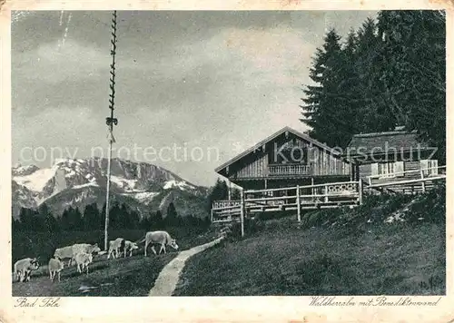 Bad Toelz Waldherralm Benediktenwand Kat. Bad Toelz