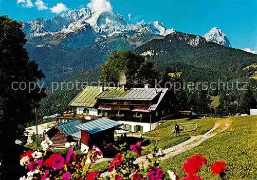 Garmisch Partenkirchen Berggasthof Eckbauer gegen Hochblassen Alpspitze Zugspitze Wettersteingebirge Blumen Kat. Garmisch Partenkirchen