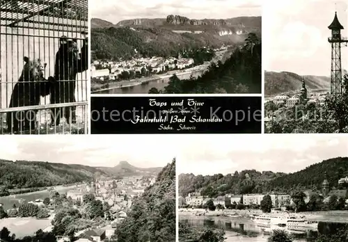 Bad Schandau Tierpark Panorama Kat. Bad Schandau