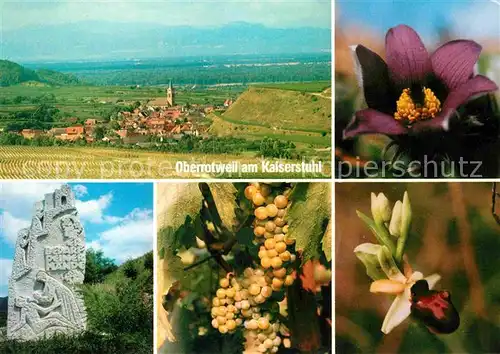 Oberrotweil Gedenkstein Blume Kat. Vogtsburg im Kaiserstuhl