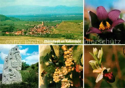 Oberrotweil Gedenkstein Blumen Kat. Vogtsburg im Kaiserstuhl