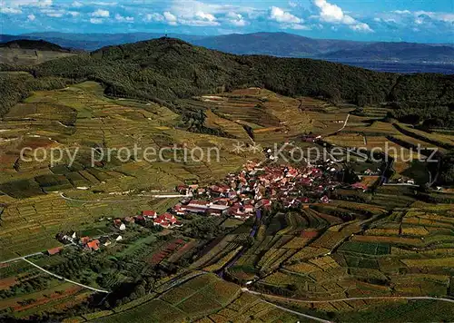 Bickensohl Fliegeraufnahme Kat. Vogtsburg im Kaiserstuhl