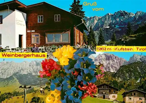 Kufstein Tirol Berghaus Weinberger Wilder Kaiser Kaindlhuette Alpenflora Kat. Kufstein