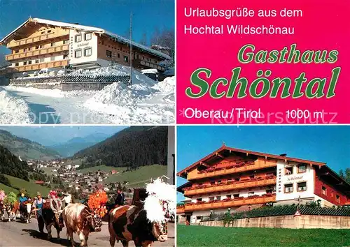 Oberau Tirol Gasthaus Pension Schoental Almabtrieb Kat. Wildschoenau