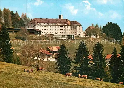 Ried Lindenberg Allgaeu Kursanatorium Viehweide Kuehe Kat. Lindenberg i.Allgaeu