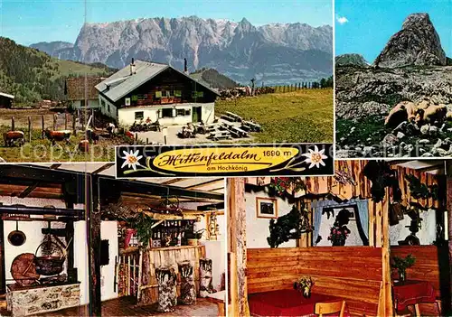 Muehlbach Hochkoenig Mittenfeldalm Ausflugsziel am Hochkoenig Alpenpanorama Kat. Muehlbach am Hochkoenig