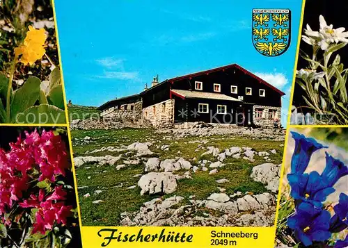 Puchberg Schneeberg Fischerhuette am Schneeberg Alpenflora Edelweiss Blauer Enzian Kat. Puchberg am Schneeberg